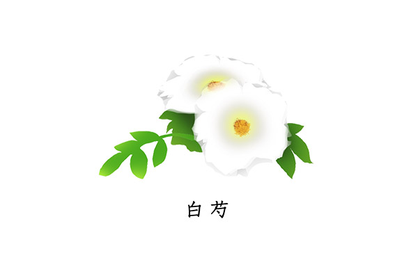 白芍的功效与作用 白芍对身体的好处(图2)